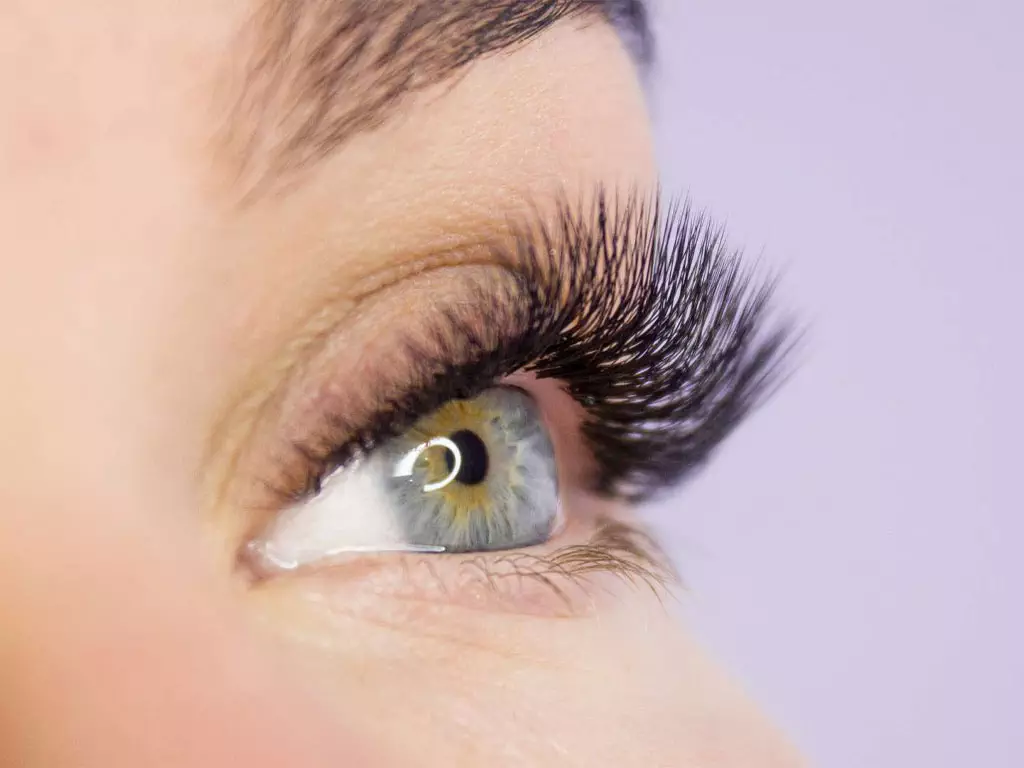 tsbr-brows-lashes-feature-img-v1
