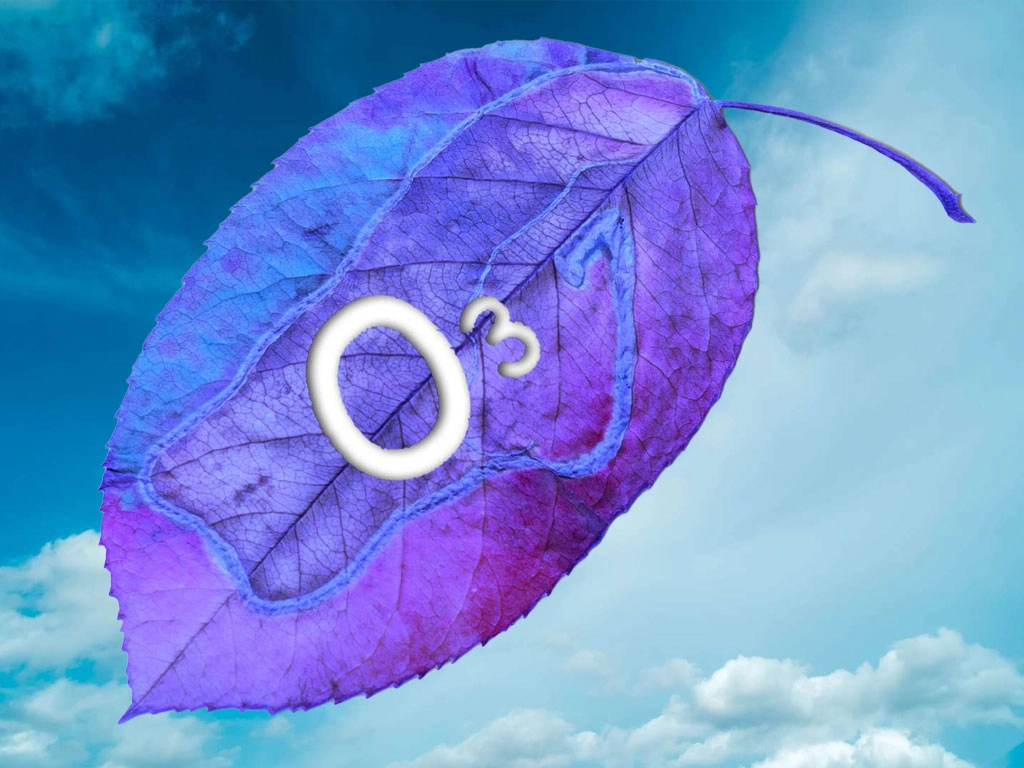 tsbr-ozone-feature-img-v1